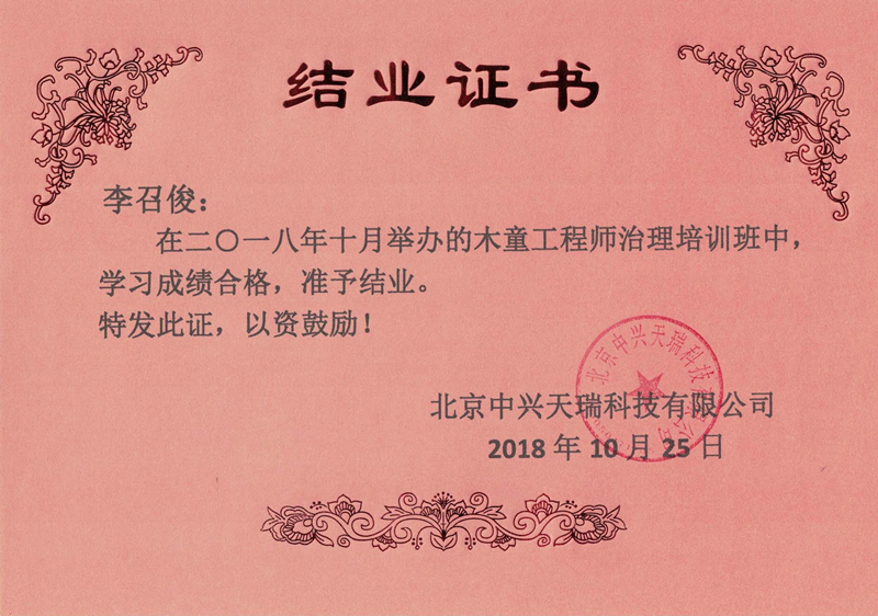 李召俊-木童工程師檢測與治理服務(wù)高級培訓證書(shū).jpg