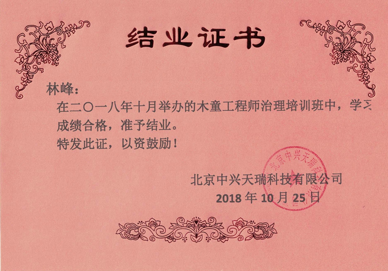 林峰-木童工程師檢測與治理服務(wù)高級培訓證書(shū).jpg