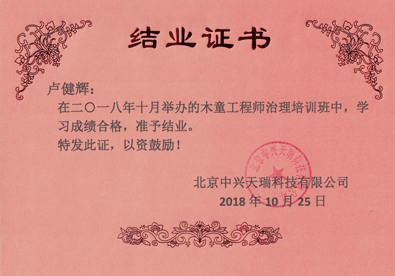 盧建輝-木童工程師檢測與治理服務(wù)高級培訓證書(shū).jpg