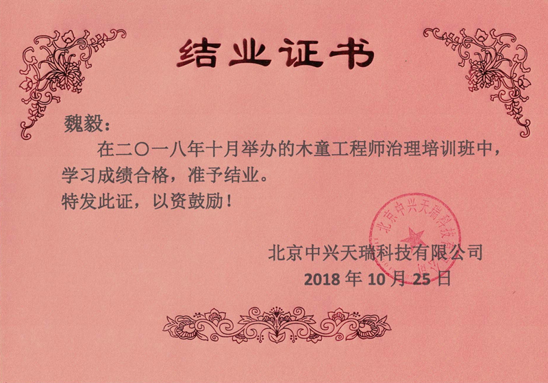 魏毅-木童工程師檢測與治理服務(wù)高級培訓證書(shū).jpg